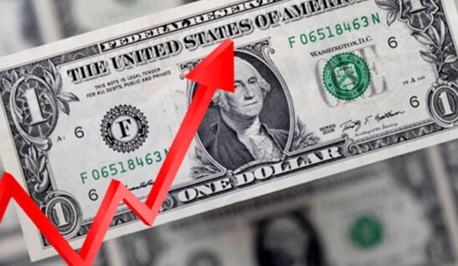 Dollar və avronun sebtyabrın 1-ə olan məzənnəsi | RƏSMİ
