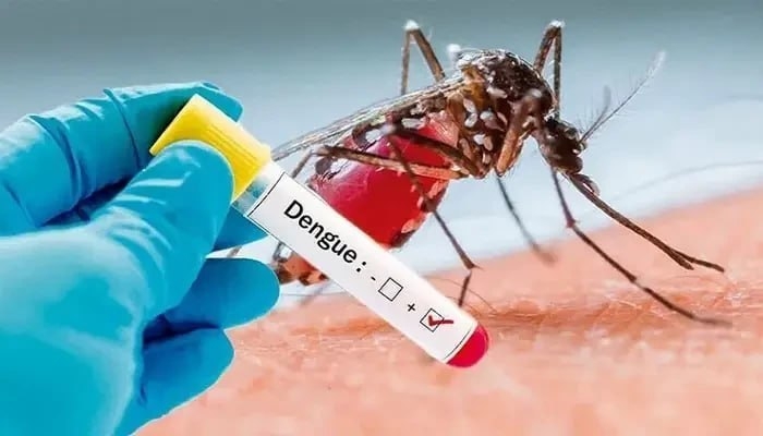 Gürcüstanda təhlükəli virus aşkarlanıb
