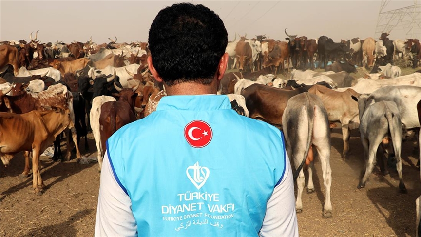 Gürcüstandakı ehtiyaclı müsəlmanlara Qurban bayramı öncəsi Türkiyədən yardım - VİDEO